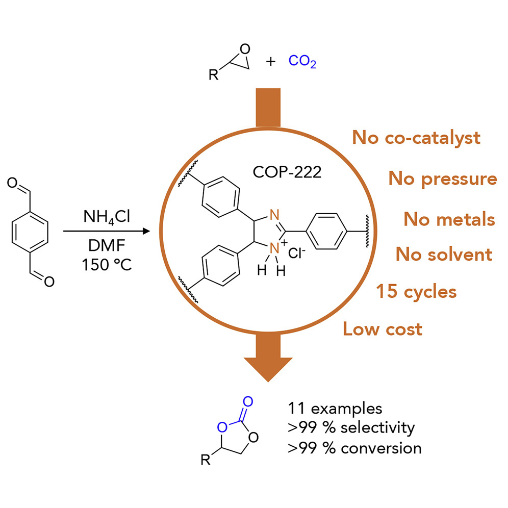 Catalytic non-redox carbon dioxide fixation in cyclic carbonates