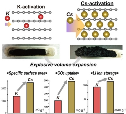 Cesium Ion-Mediated Microporous Carbon for CO2 Capture and Lithium-Ion Storage