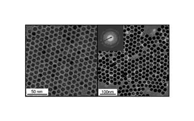 Synthesis of monodisperse iron oxide nanocrystals by thermal decomposition of iron carboxylate salts