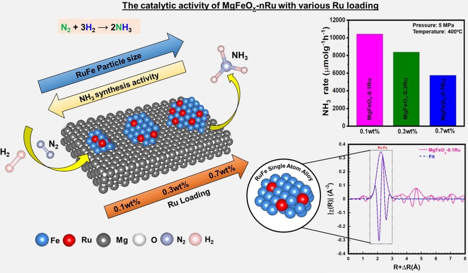Robust Ru single-atom alloy catalysts coupled with adjacent Fe-site for highly stable ammonia synthesis under mild conditions