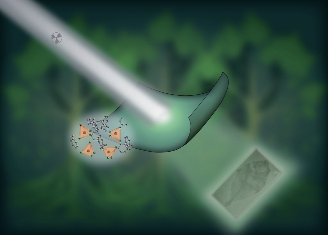 Single crystals of organometallic manganese halides as sustainable high-luminescence materials for X-ray scintillation